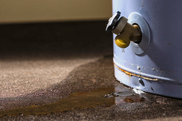 Best Flood damage cleanup  in Richmond, UT