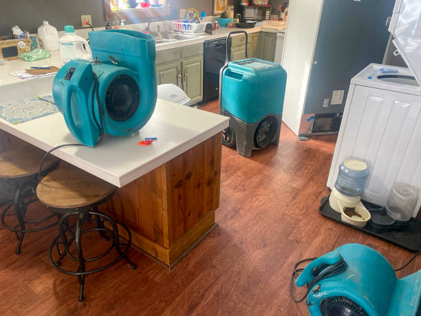 Best Professional water damage repair  in Richmond, UT