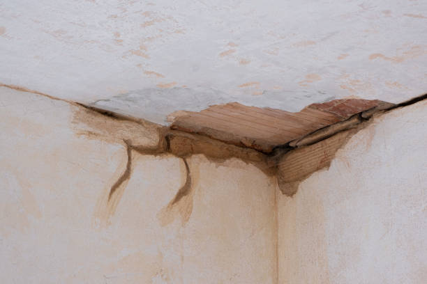 Best Water damage cleanup near me  in Richmond, UT