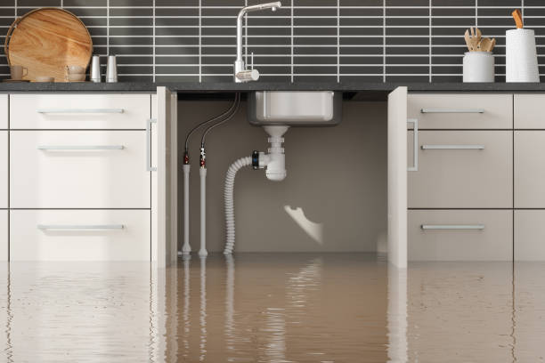 Best Flood restoration services  in Richmond, UT
