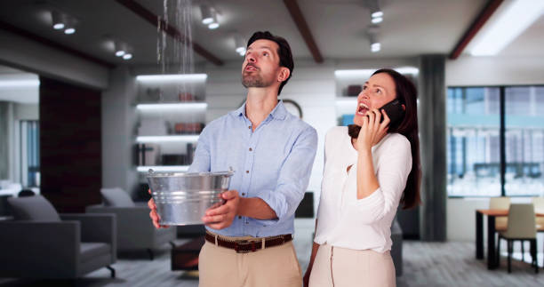 Best Water damage repair service  in Richmond, UT