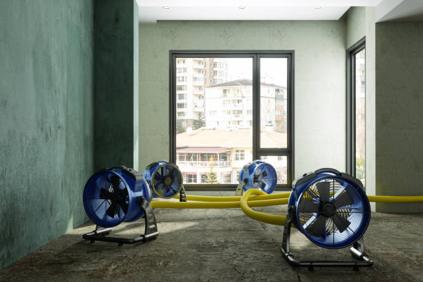 Best Residential water damage restoration  in Richmond, UT